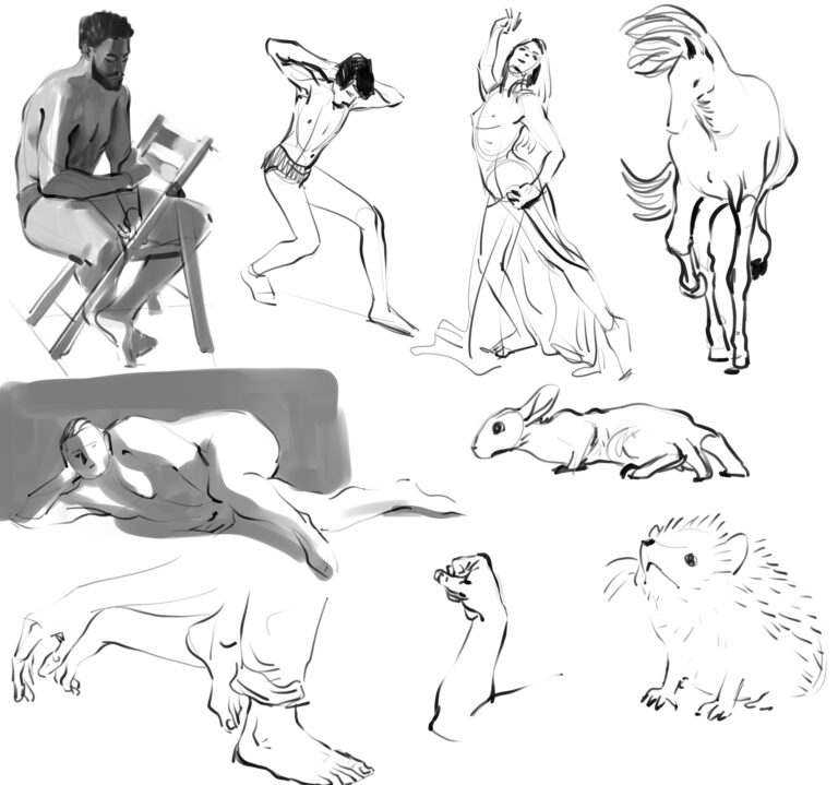 Nine digital drawings of humans in various poses, a horse, a rabbit, a pair of hands, a pair of feet, a hand and a hedgehog.