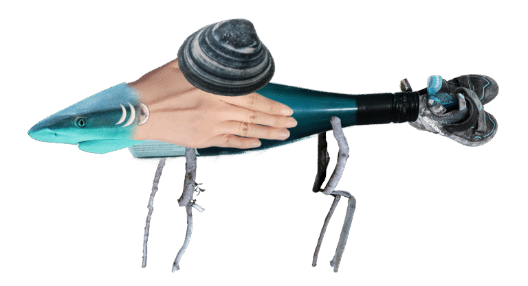 A photo-collaged puppet. It is a creature with a shark head, a clamshell, a back of the heand, and a bottle. The legs are composed with tree branches.